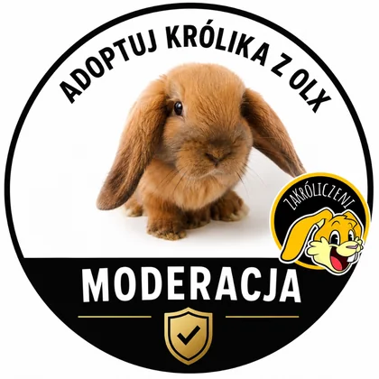 Logo moderacji Adoptuj Królika z OLX